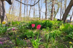 20250601151404760369000000-o 20250601151404760369000000-o