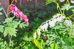 20250601151444451596000000-o 20250601151444451596000000-o