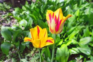 20250601151449539449000000-o 20250601151449539449000000-o