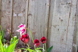 20250601151501067212000000-o 20250601151501067212000000-o